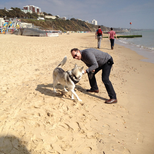 Sandy Beach play time for you and your dog