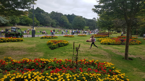 Bournemouth Parks is striking with the flower