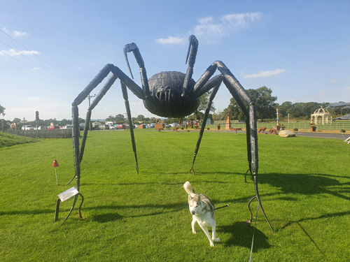 A strikingly detailed metal sculpture of a large spider at the British Ironwork Centre, showcasing its intricate legs and body against the backdrop of the outdoor display area.