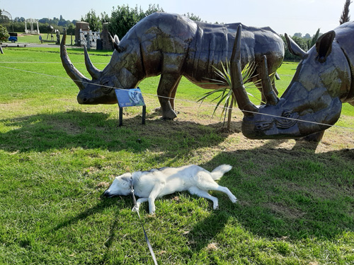 A charming metal sculpture of a house at the British Ironwork Centre, featuring whimsical figures of rhinos lounging with a relaxed dog, displayed in the outdoor exhibition area.