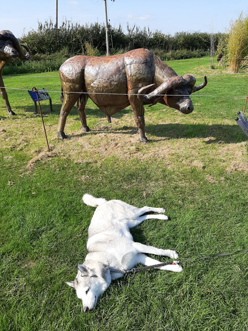 A delightful metal sculpture of a house at the British Ironwork Centre, adorned with whimsical figures of wildebeests lounging with a relaxed dog, displayed in the outdoor exhibition area