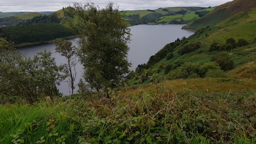 Clywedog Reservoir