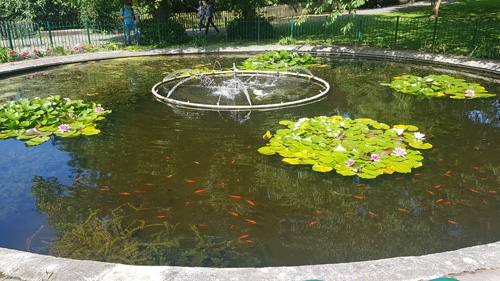 Grove Park Pond