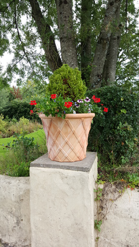 Norwood Gardens and Tea Rooms going potty