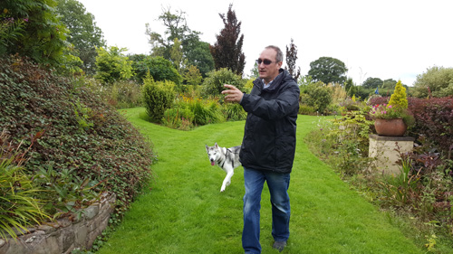 Norwood Gardens and Tea Rooms showing the way