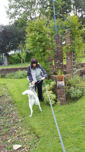 Norwood Gardens and Tea Rooms