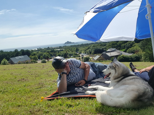 Relax with your dog at Tremenheere Sculpture Gardens in Cornwall. Enjoy contemporary sculptures, lush gardens, and a pet-friendly environment perfect for a serene outing.