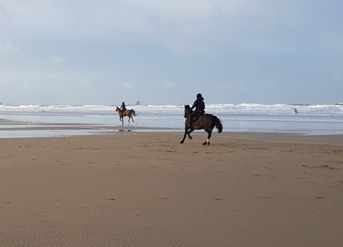 Discover Perranporth Beach in Cornwall, known for its expansive golden sands, clear waters, and vibrant surf scene. Ideal for beach activities, relaxation, and scenic coastal views.