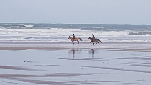 Discover Perranporth Beach in Cornwall, known for its expansive golden sands, clear waters, and vibrant surf scene. Ideal for beach activities, relaxation, and scenic coastal views.