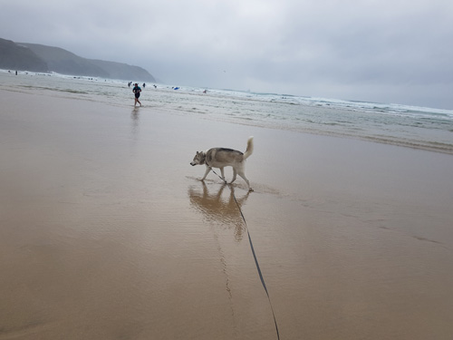 Discover Perranporth Beach in Cornwall, known for its expansive golden sands, clear waters, and vibrant surf scene. Ideal for beach activities, relaxation, and scenic coastal views.