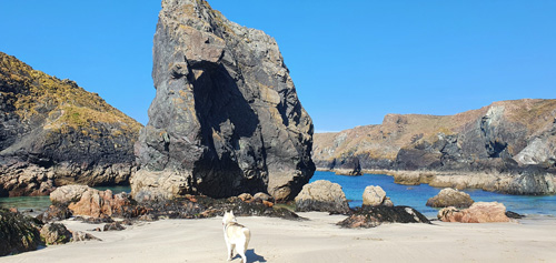 Explore Poldark Strand at Kynance Cove in Cornwall, a breathtaking coastal location with golden sands, clear waters, and stunning rock formations, ideal for picturesque walks and relaxation