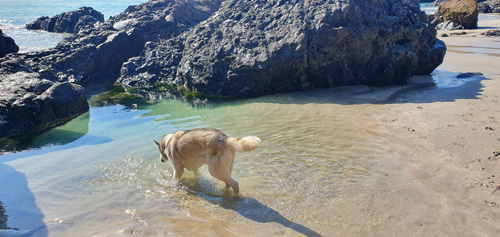 Explore Poldark Strand at Kynance Cove in Cornwall, a breathtaking coastal location with golden sands, clear waters, and stunning rock formations, ideal for picturesque walks and relaxation