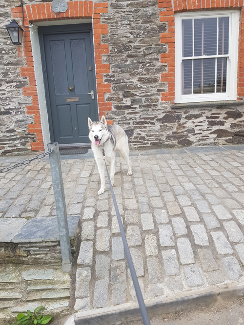 Capture a memorable selfie outside the iconic Doc's house in Port Isaac, the filming location of 'Doc Martin.' Experience the charm of this picturesque village and its famous TV series landmarks.