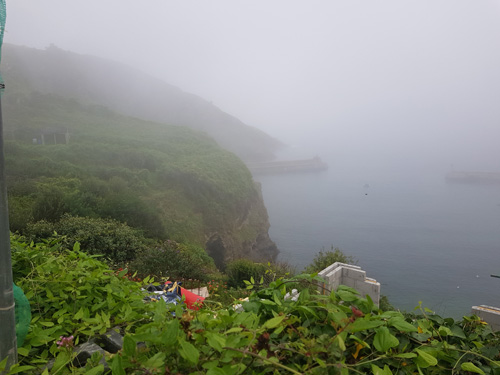 Experience the enchanting view over Port Isaac harbor shrouded in mist. Admire the ethereal beauty of the historic village and its serene coastal scenery enveloped in a mystical atmosphere.