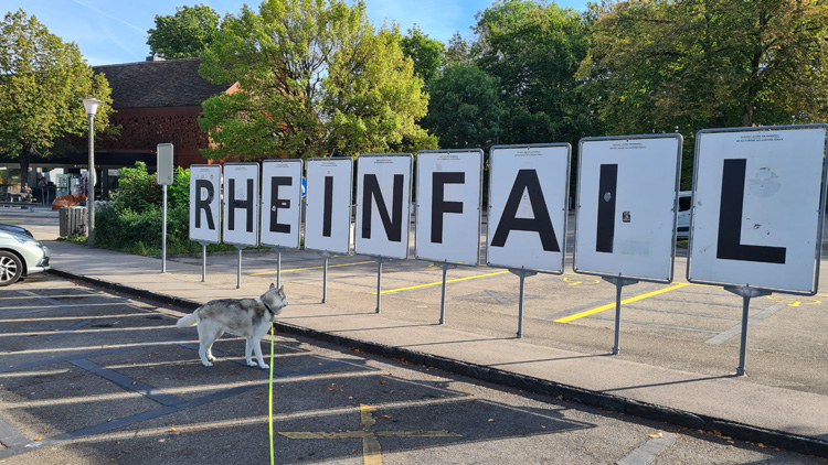 The famous Rhine Falls (Rheinfail)