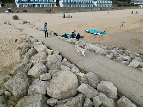 Sandbanks - A dogs life from the air
