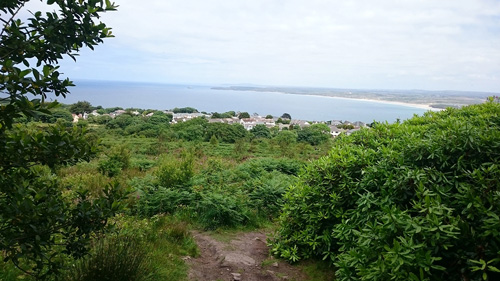 Explore Steeple Woodland Nature Reserve. Enjoy the serene beauty of this tranquil woodland area, featuring diverse flora, peaceful walking trails, and opportunities for wildlife observation.