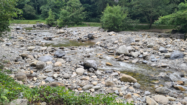 Lombach River just up from the Lazy Racho