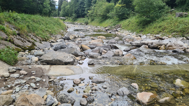 Lombach River just up from the Lazy Racho