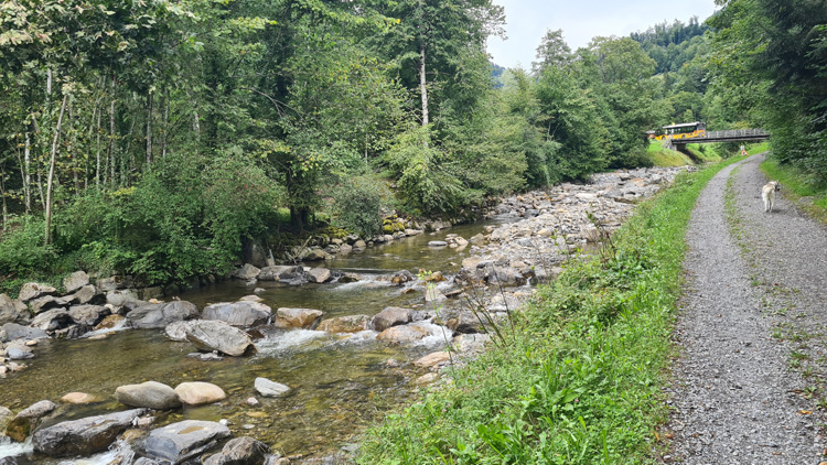 Lombach River - great walks