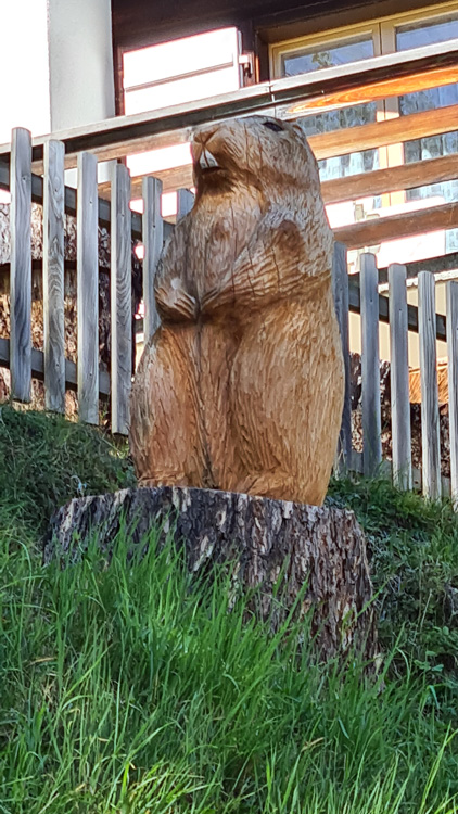 Murren Town Wood Carvings