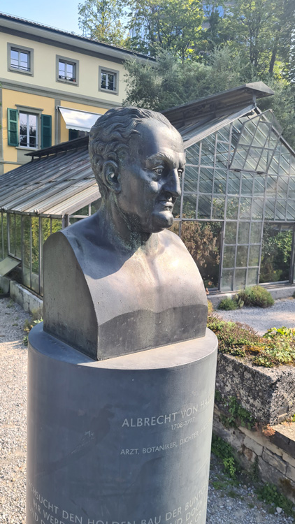 Bronze sculpture surrounded by lush greenery at Universität Bern Botanical Garden