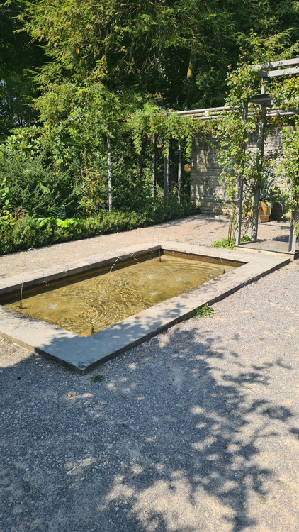 Tree-lined pathway in the serene Universität Bern Botanical Garden