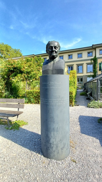 Statue of a person surrounded by trees, grass, and plants in Universitat Bern Botanical Garden