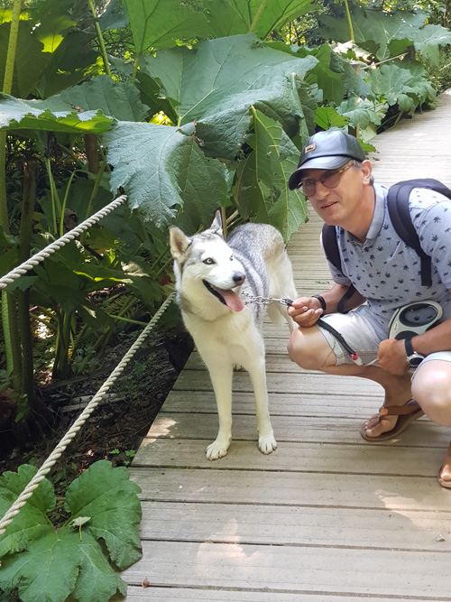 Enjoy the scenic view of a bridge at The Lost Gardens of Heligan with your dog. Experience the charming setting as you and your canine companion explore this picturesque and historic garden