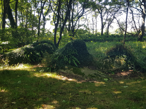 Discover 'Heligan in the Grass' at The Lost Gardens of Heligan. This intriguing feature blends seamlessly with the garden’s natural surroundings, offering a unique and immersive experience amidst the lush greenery