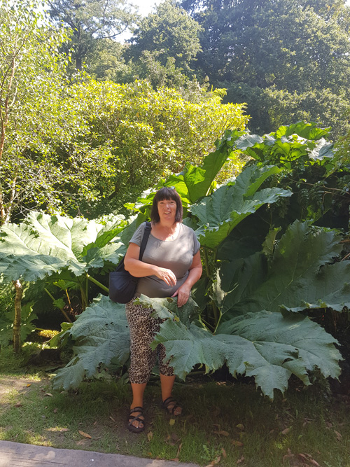 Discover the view of stacked logs at The Lost Gardens of Heligan. Observe the rustic arrangement of logs nestled within the garden's lush landscape, adding a natural and textured element to the serene and enchanting environment