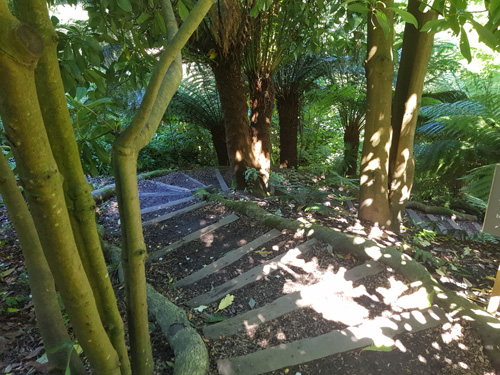 Step through the enchanting forest at The Lost Gardens of Heligan. Experience the lush, verdant pathways and immersive woodland environment that invites exploration and tranquility within this historic garden