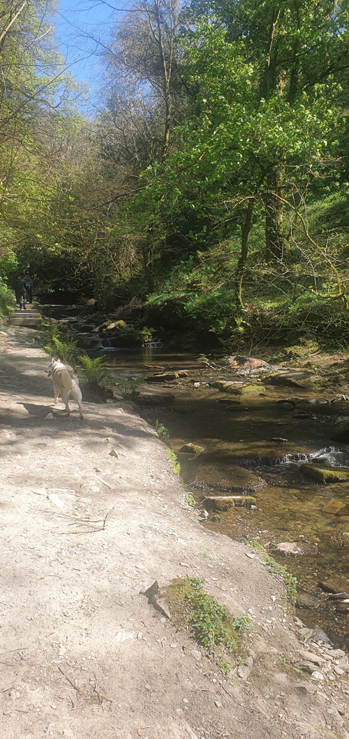 Enjoy the tranquil views along the walk by the stream, featuring scenic watercourses and lush landscapes. This picturesque trail offers a serene experience with beautiful natural surroundings and charming streamside views