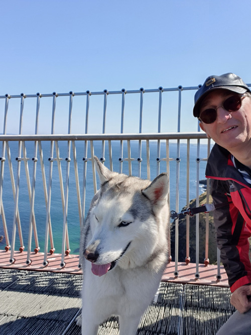 Enjoy a memorable view of Tintagel Castle from the bridge with your dog. Capture the stunning historic ruins perched on dramatic cliffs, with panoramic vistas of the rugged coastline and the Atlantic Ocean.
