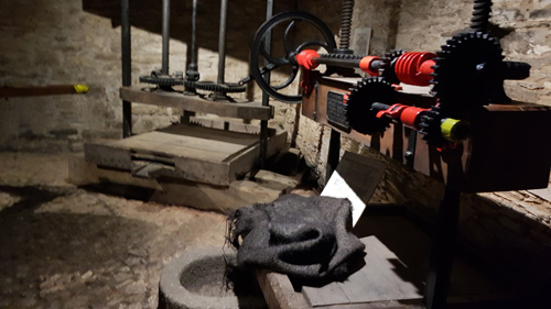 Discover the rich cider-making history at Healeys Cornish Cyder Farm. Explore the traditional methods, learn about the evolution of cider production, and experience the legacy of Cornish craftsmanship.