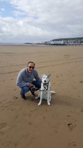 Weston Beach - doggy time