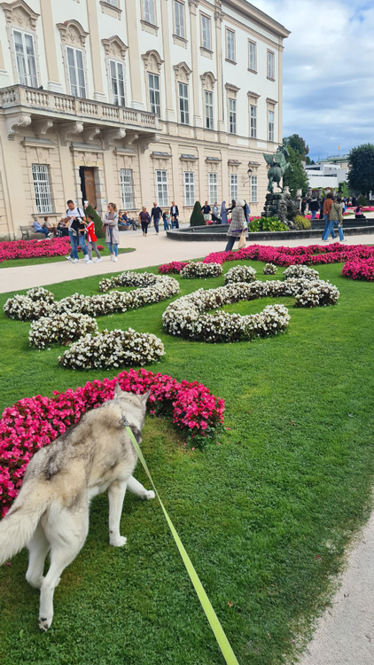 Baroque Palace Garden - Dog Friendly