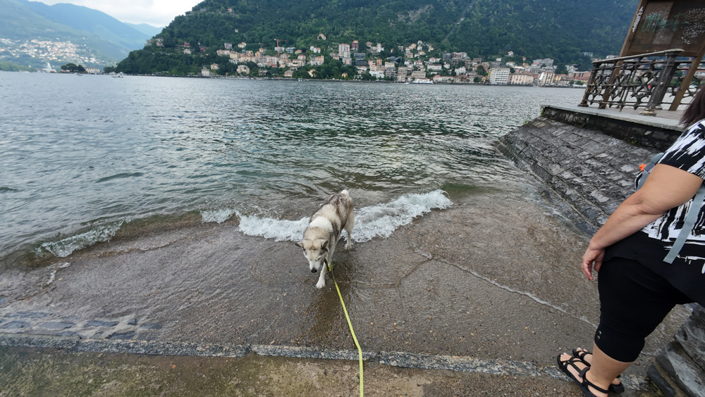 Lake Como - Lungo Lario Doggy Paddle