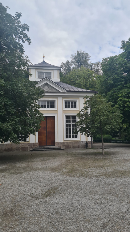 Trompeten Baum in the park