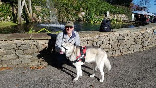 Discover the Heights of Abraham with your dog, a stunning hilltop park in the Peak District offering breathtaking views, historic caverns, cable car rides, and pet-friendly attractions.