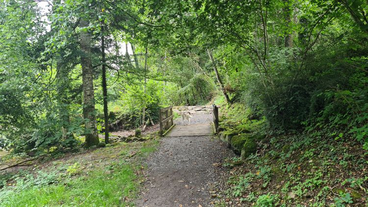 Lombach River - great walks