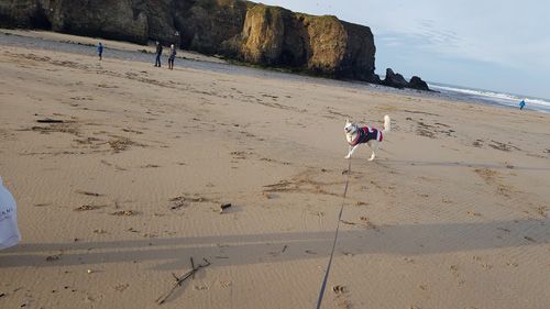 Discover Perranporth Beach in Cornwall, known for its expansive golden sands, clear waters, and vibrant surf scene. Ideal for beach activities, relaxation, and scenic coastal views.