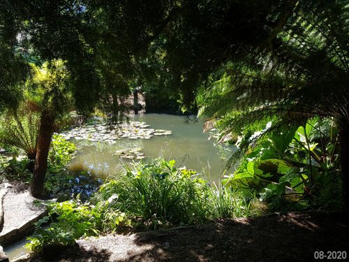 Enjoy the serene view of the relaxing stream at The Lost Gardens of Heligan. Experience the tranquil ambiance as the gentle flow of the stream winds through lush foliage, offering a peaceful retreat within the enchanting garden landscape