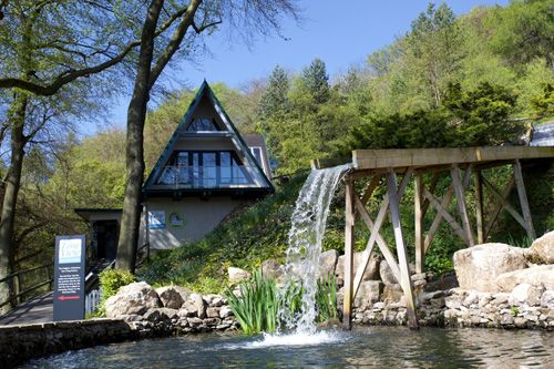 Discover the charming water stream at the Heights of Abraham, where tranquil natural surroundings enhance your visit. Enjoy the peaceful ambiance, picturesque views, and serene beauty of this scenic feature in the Peak District.