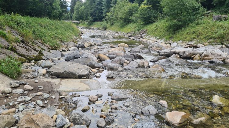 Lombach River just up from the Lazy Racho