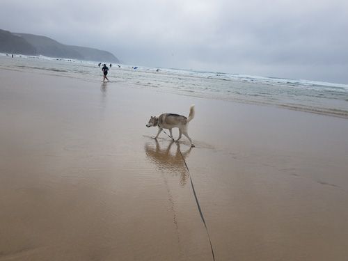 Discover Perranporth Beach in Cornwall, known for its expansive golden sands, clear waters, and vibrant surf scene. Ideal for beach activities, relaxation, and scenic coastal views.