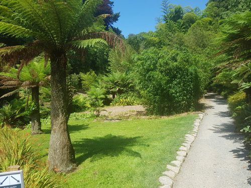 Enjoy a gentle stroll through The Lost Gardens of Heligan. Experience the serene pathways and picturesque landscapes that offer a peaceful and leisurely exploration of this historic garden