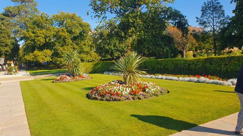 Rockley Watersports Poole gardens in bloom