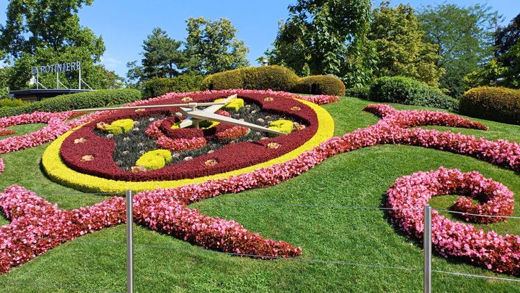 A vibrant garden filled with flowers, grass, and trees, highlighting the Flower Clock