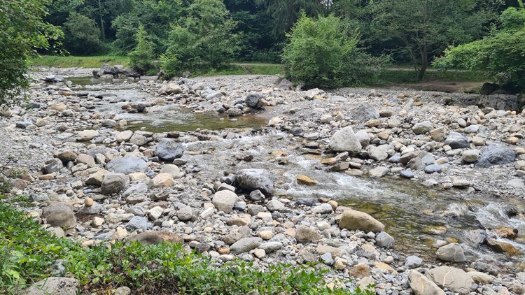 Lombach River just up from the Lazy Racho